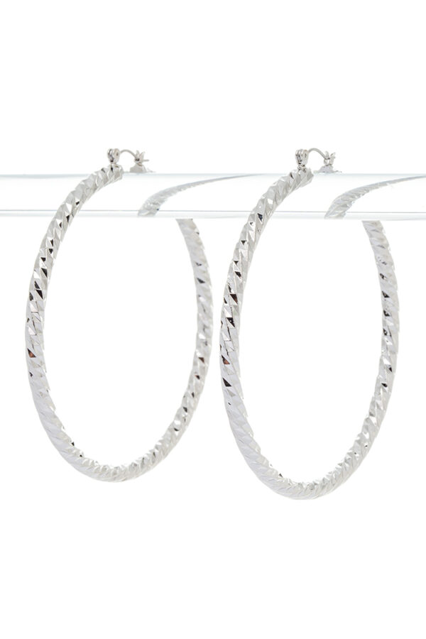 Silver/Clear Hoop Earrings